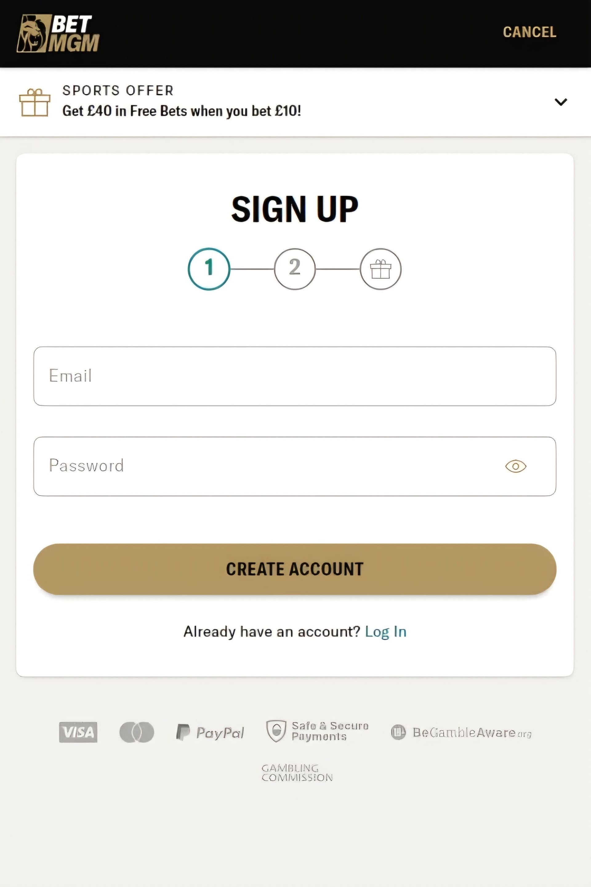 Download the DraftKings or BetMGM app.