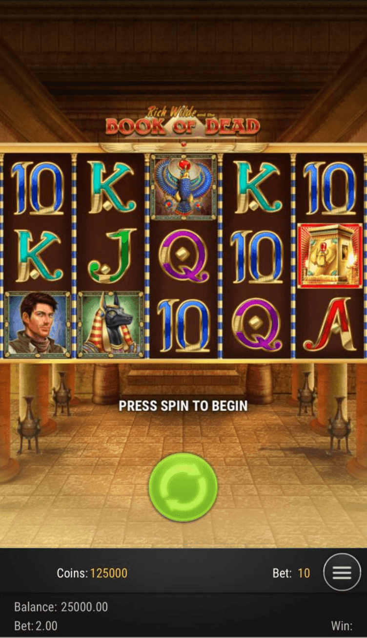 Book of Dead Slot Review (Game Overview).png