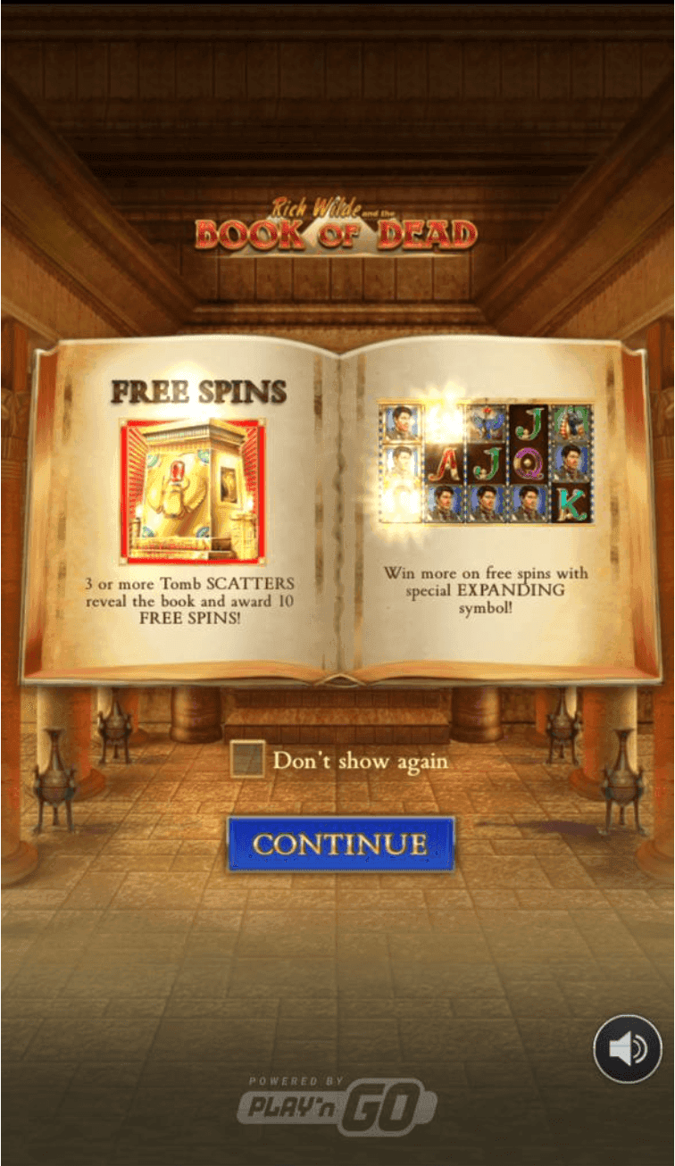 Book of Dead at US Sweepstakes Casinos Playing Guide